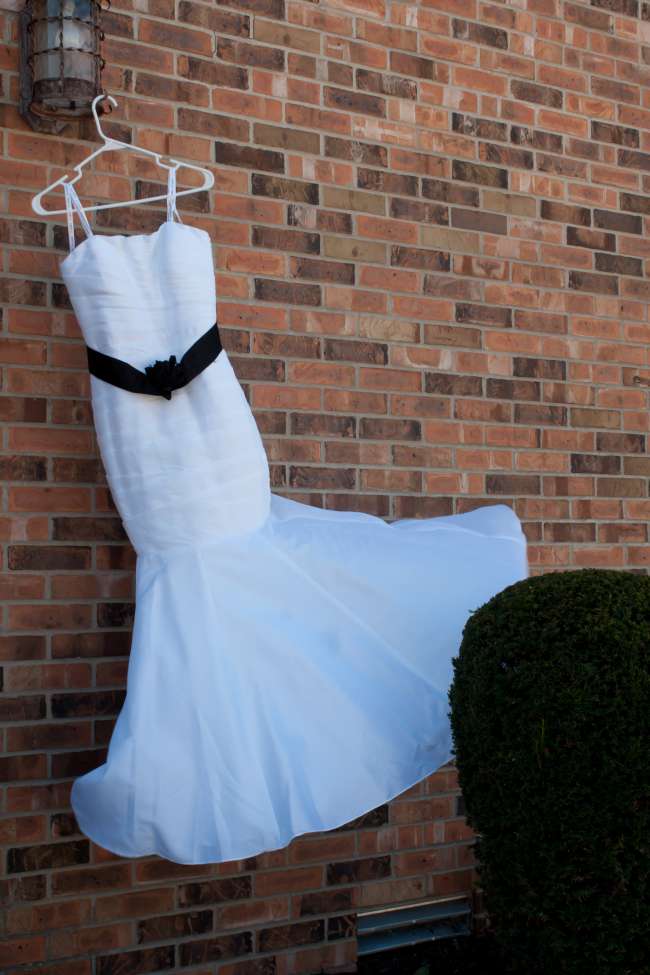 The Brides Dress Flowing in the Wind