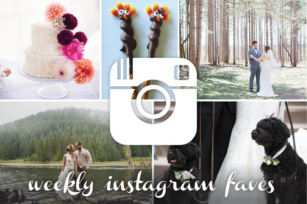 instagram collection