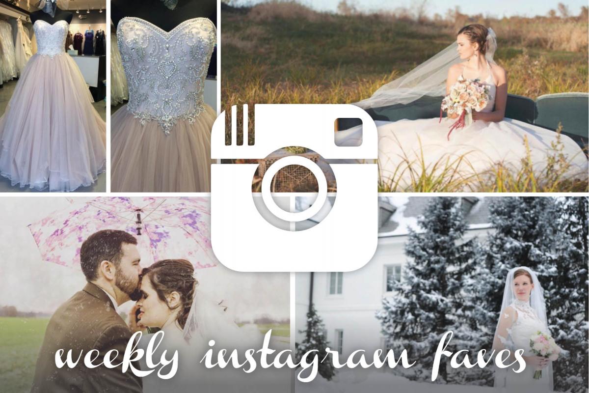 instagram round up