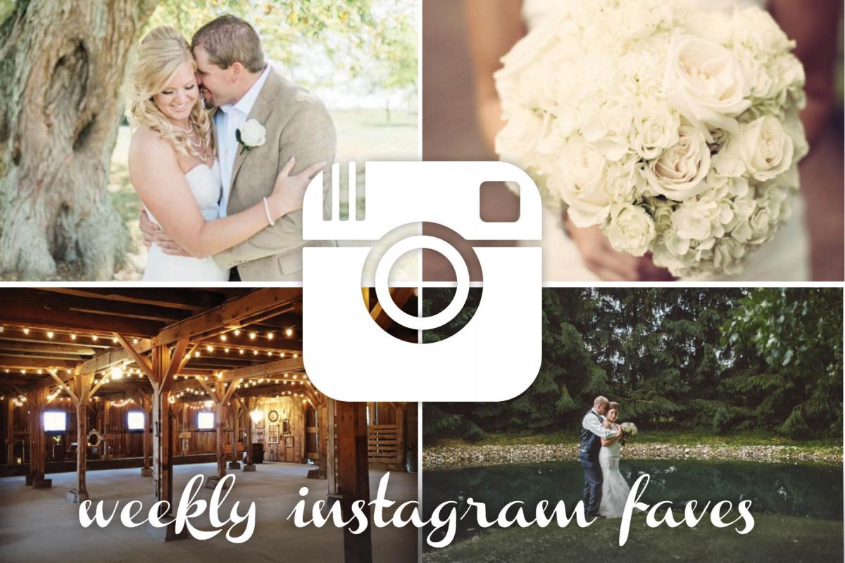 instagrams for the new year