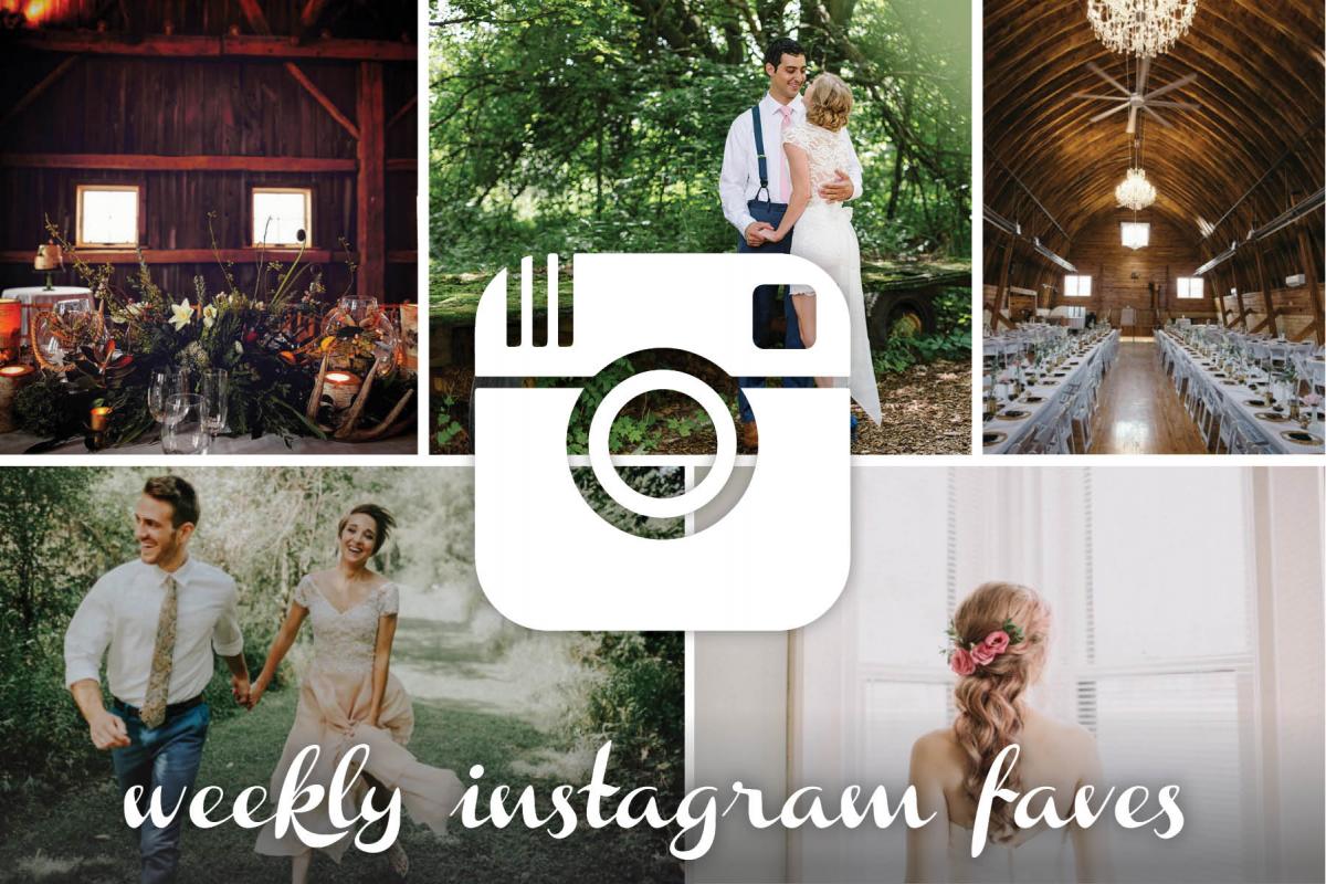 instagram roundup