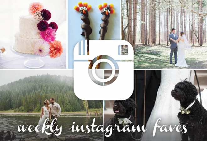 instagram collection
