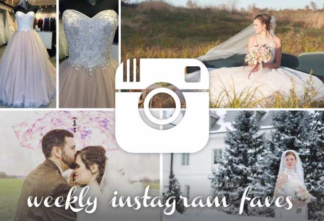 instagram round up