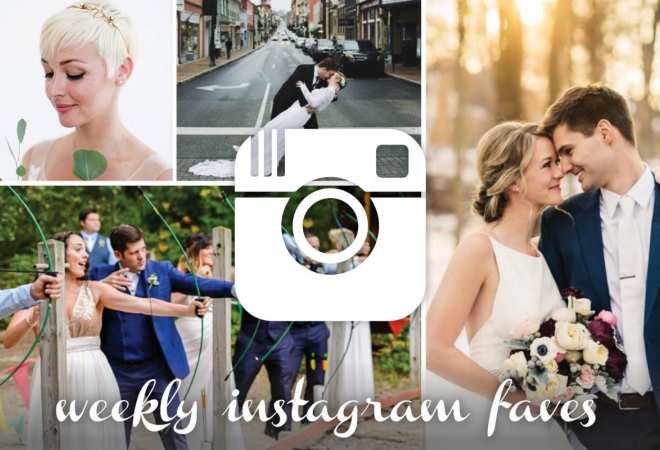 collage roundup of instagram posts