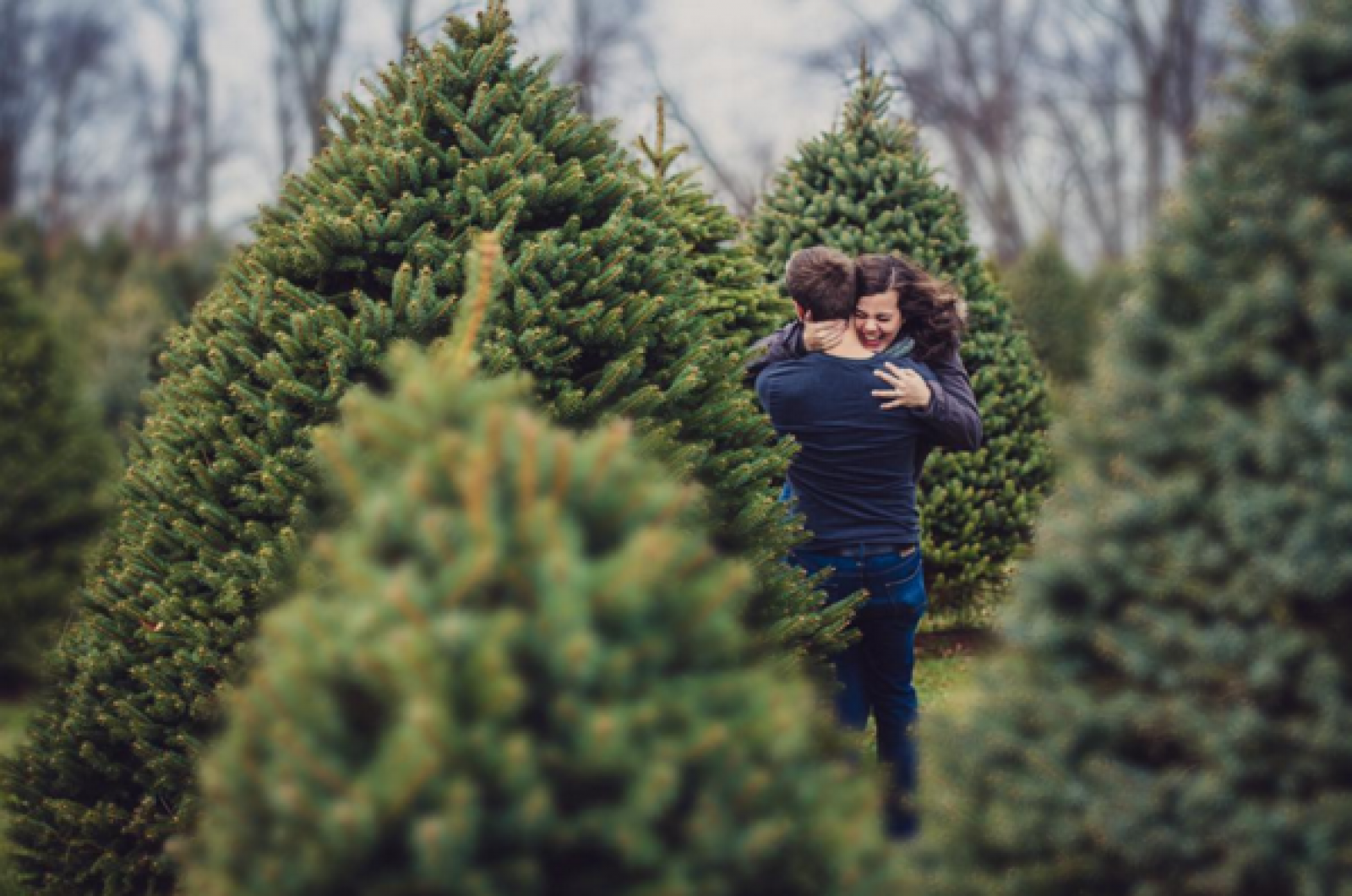 christmas tree engagement
