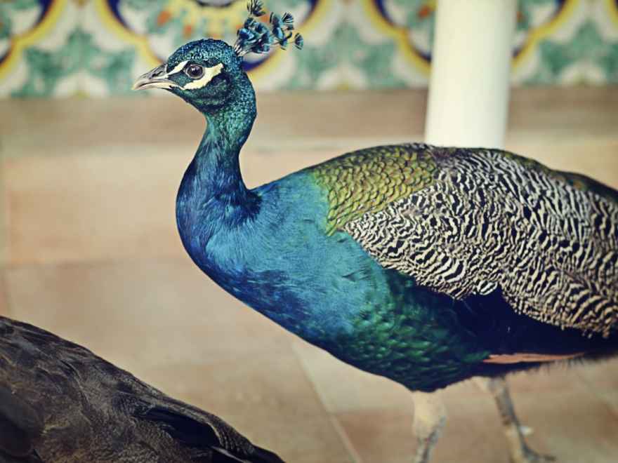 Melody and Lamar Spencer