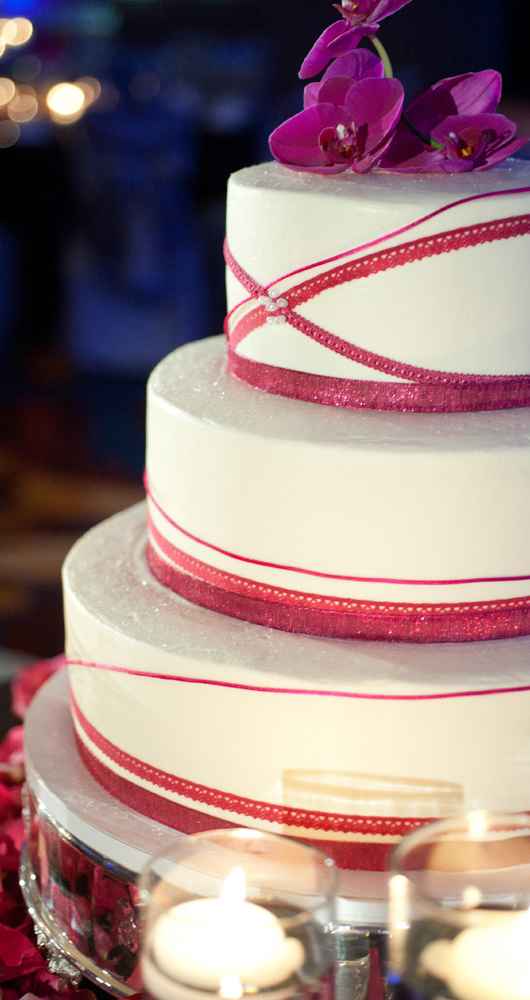 Manisha Patel & Anuj Agarwala