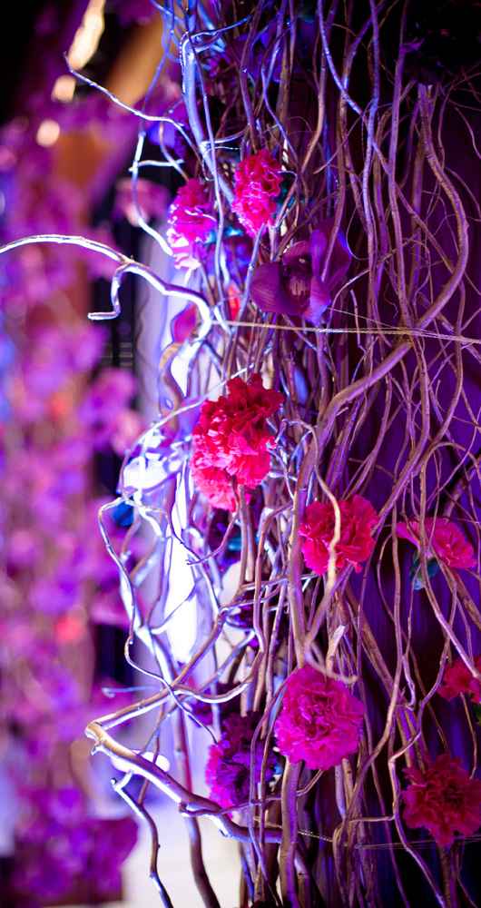 Manisha Patel & Anuj Agarwala