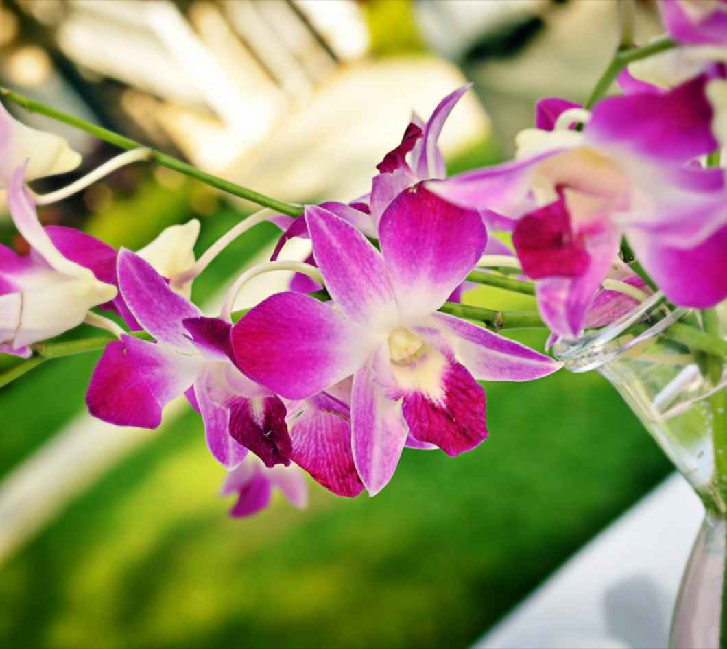 Melody and Lamar Spencer