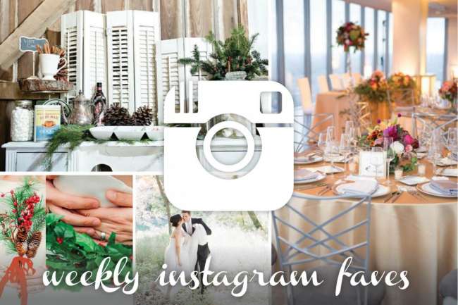 instagrams