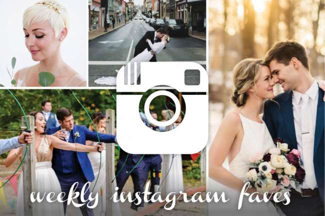 collage roundup of instagram posts