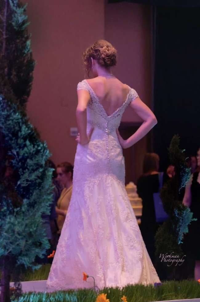 Beautiful Back of Dress