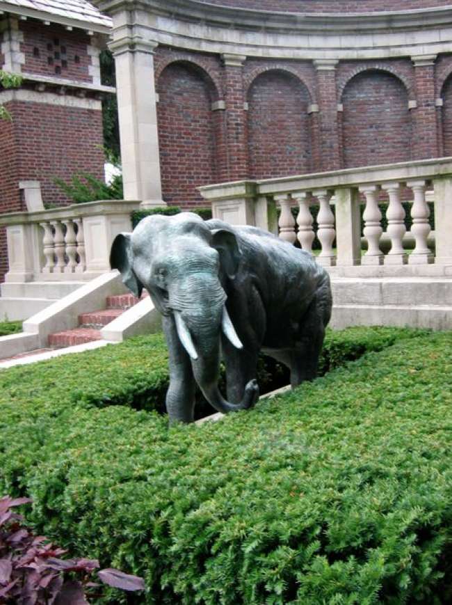 1912 World Fair Japanese Elephant