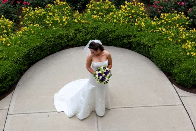 Wedding in Bloom
