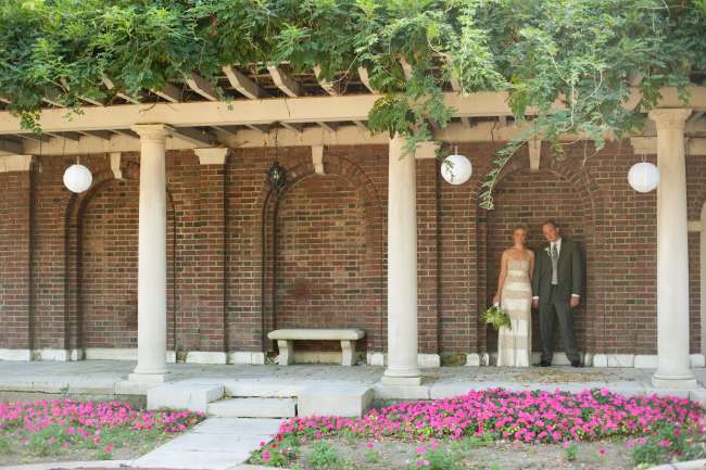 Under the Wisteria