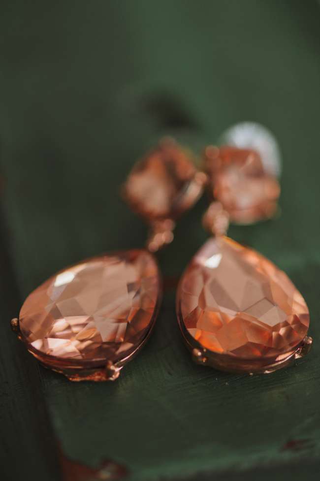 Chocolate Brown Dangling Earrings