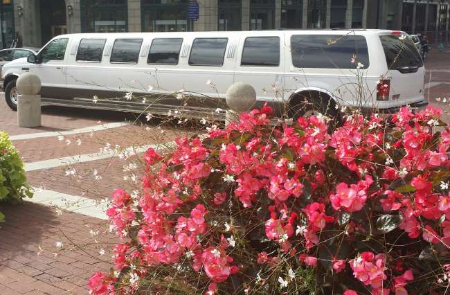 14-16 Passenger Excursion Limo